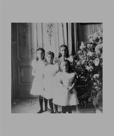 Delicate Flowers Grand Duchesses Olga Tatiana Maria And Anastasia