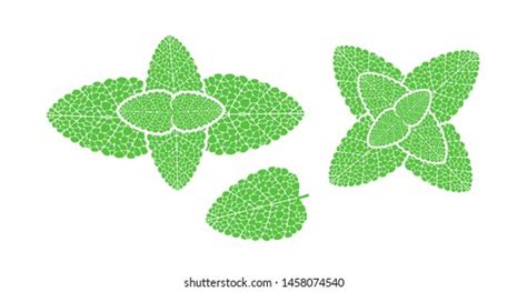 Mint Logo Isolated Mint On White Stock Vector (Royalty Free) 1458074540 ...