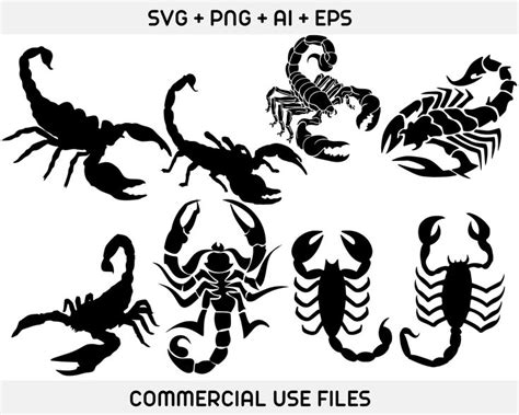 Scorpion Svg Bundle Scorpion Png Scorpion Eps Scorpion Silhouette