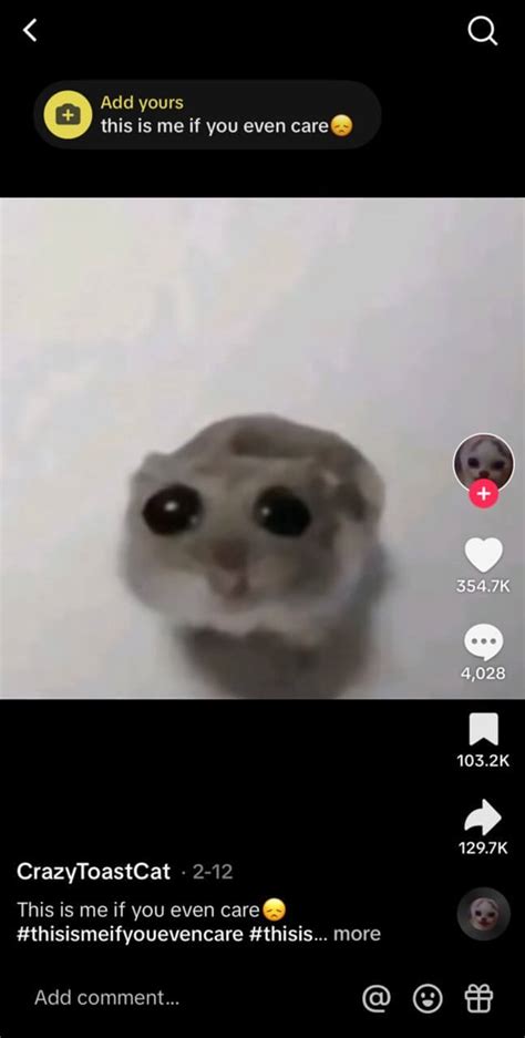 How to Create Sad Hamster TikTok Meme? (With Free Materials) | PERFECT