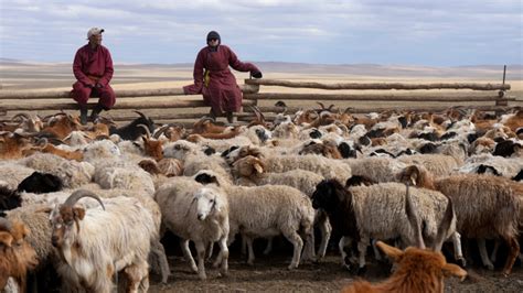 Pastoralists Modernizing to Deal With Climate Change, New Lifestyles