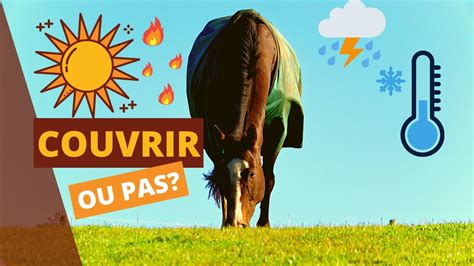 Faut Il Couvrir Son Cheval En Hiver YouTube