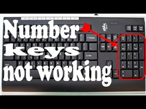 Keyboard Fix Number Key Is Not Working Laptop And Pc Any Windows