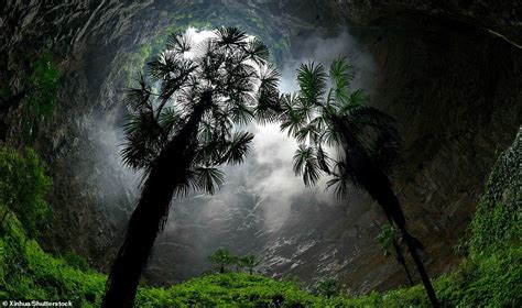 The Ancient Forest World Discovered More Than 600ft Below The Surface