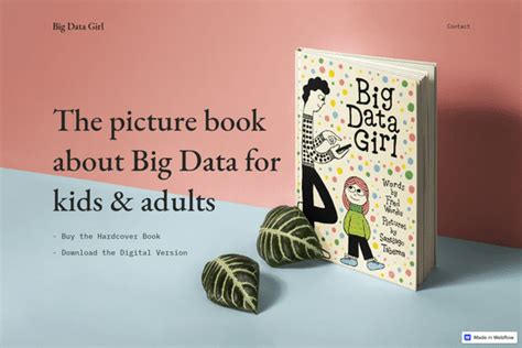 Big Data Girl Book Store - Webflow