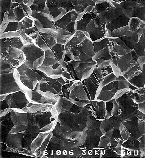 Intergranular Fracture Observed In A Low Alloy Steel Mnd