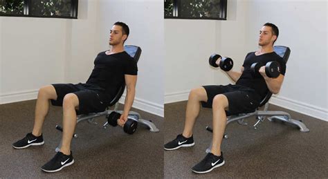 Incline Dumbbell Curl - The Optimal You | Online Personal Trainers ...