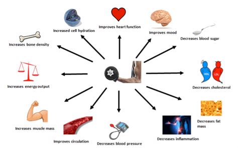 The Importance Of Good Metabolic Health Swim Strong Foundation