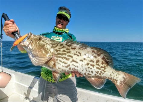 Grouper Reel Florida Fishing Charters