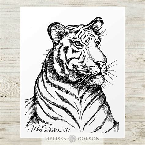 White Tiger Pencil Drawing