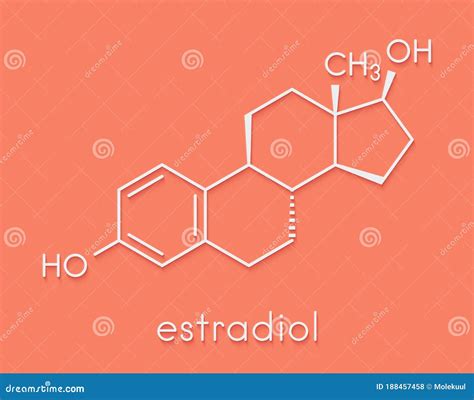 Estradiol Estrogen Female Sex Hormone Molecule Skeletal Formula Stock Illustration