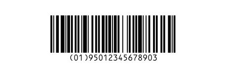 Code Gs Explained Gs Example Barcodes Application