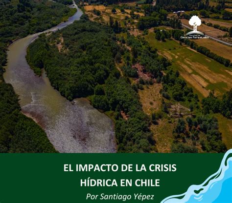 El impacto de la crisis hídrica en Chile Forestal