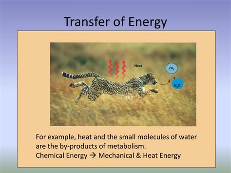 Ppt Transfer Of Energy Powerpoint Presentation Free Download Id