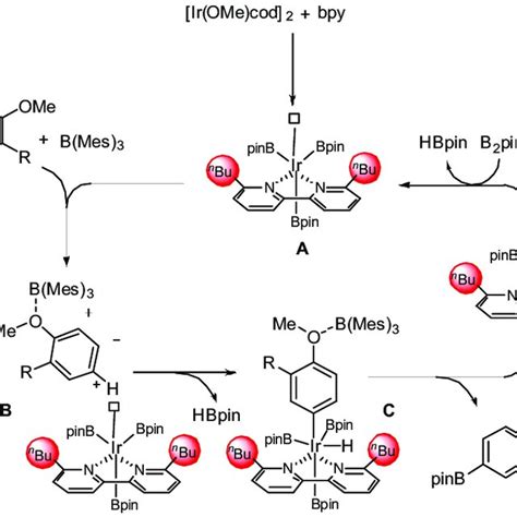 Proposed Mechanism Of The Para Selective C H Borylation Proposed