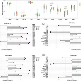 Validation Of Hub Genes Expression And Correlation Of Immune