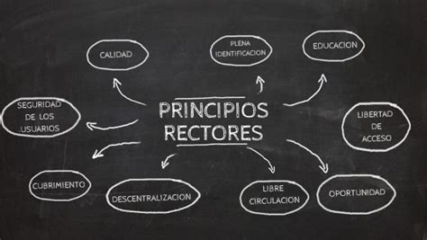 Principios Rectores