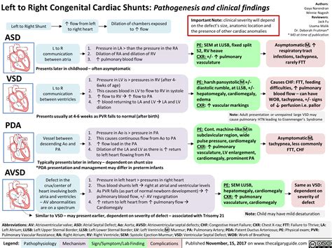 Wolff Parkinson White Pathogenesis And Clinical Findings Calgary Guide