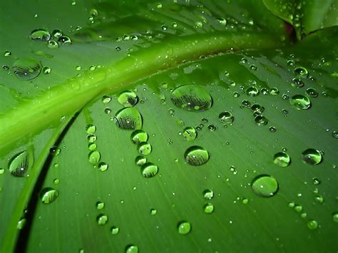 Fondos De Pantalla Paisaje Agua Naturaleza C Sped Verde Roc O