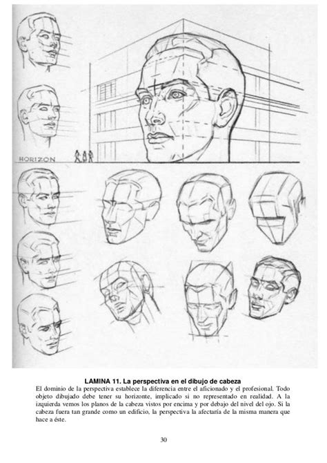 Andrew Loomis Dibujo De Cabeza Y Manos Espa Ol Drawing Heads