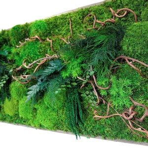 40 X 18 Artisan Moss Plant Painting Curly Vine No Care Green Wall Art