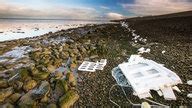 Nordsee Wattenmeer Nordsee Kultur Planet Wissen