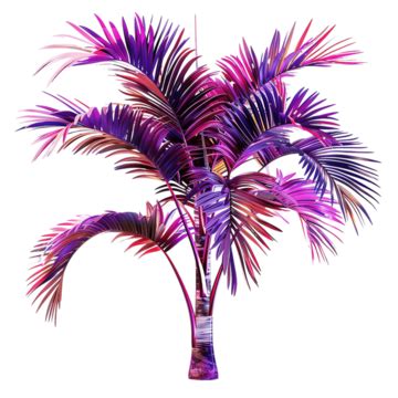 Tropical Palm Tree With Purple And Pink Leaves Palm Tree Purple Pink