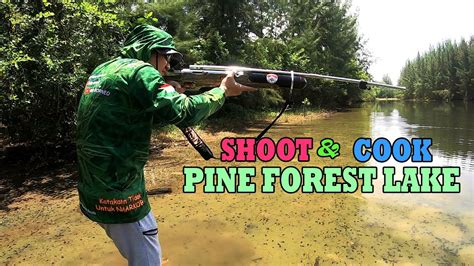 Tembak Dan Masak Ikan Di Danau Hutan Pinus Shoot And Cook In The