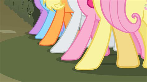 Hooves Of The Mainmane 6 Mlp My Little Pony My Little Pony