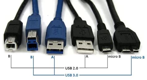 delvis Catena Lære diferentes tipos de cabos usb skjelett bro sur