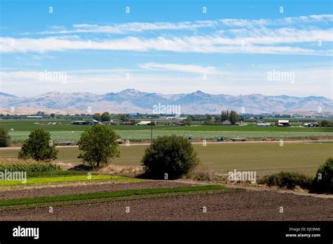 agriculture farm  california stock photo alamy