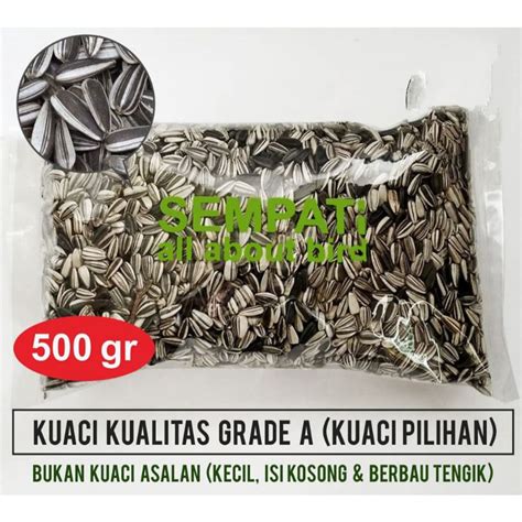 Jual BIJI KUACI KWACI HITAM BUNGA MATAHARI PAKAN MAKANAN BURUNG