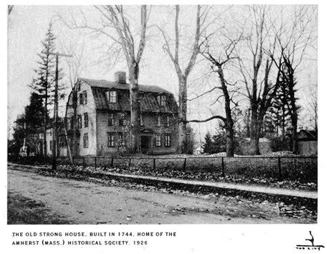 Historic Trees of Amherst | Amherst Historical Society