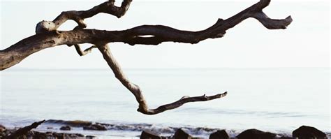 Rebasing: The Scariest Git Command? - DEV Community