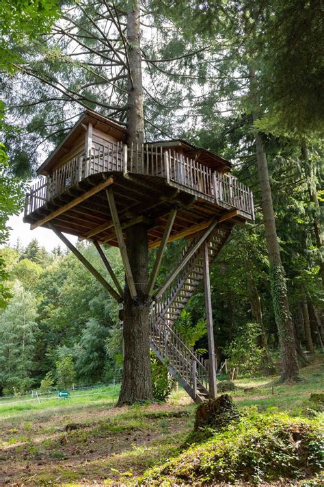 Cabane Hérisson Cabanes de Labrousse Cabane dans les arbres en