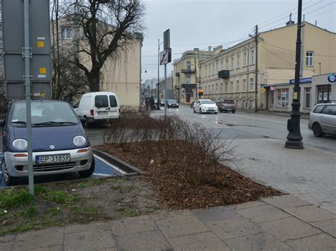 Galeria W Miejscu Klepiska Posadzili Krzewy Epiotrkow Pl