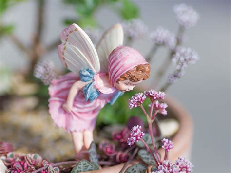 Succulent Fairy Garden Tutorial | DIY Succulent Fairy Garden | Fairy ...