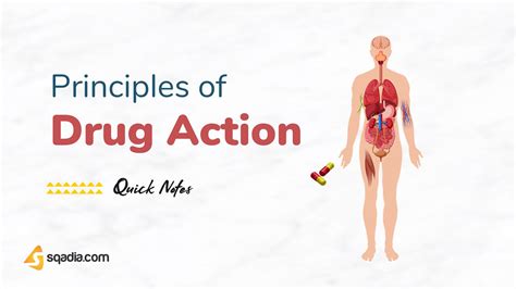 Principles Of Drug Action Introduction