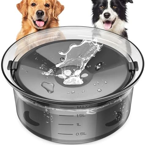 Slow Water Bowl Voor Honden De 15 Beste Producten Vergeleken Wild