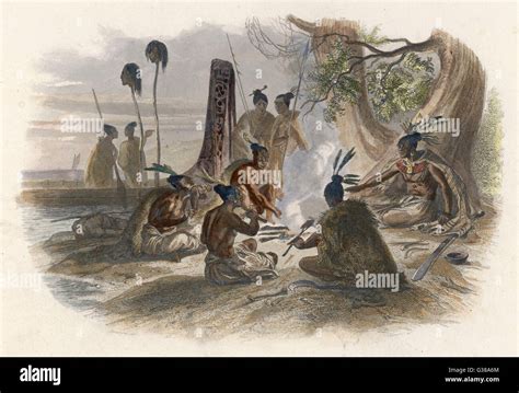 A Group Of Indigenous New Zealanders Cooking And Consuming Their Enemies Date Circa 1840 Stock