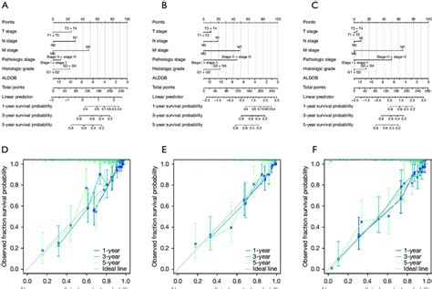 Nomograms And Calibration Plots For The Prediction Of The Prognosis In