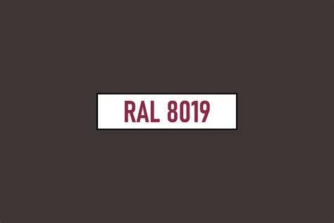 RAL 8019 Szaro brązowy Grey brown