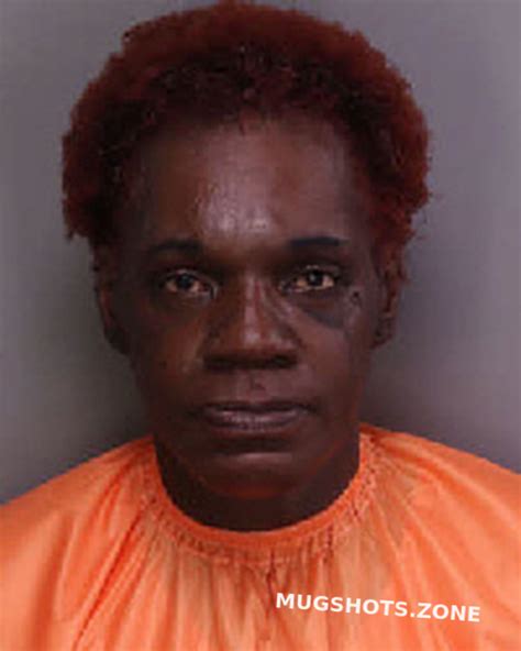 BROWN DENISE 08 16 2023 Florence County Mugshots Zone