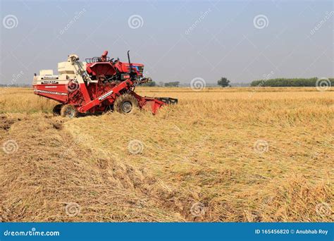 Rice Cutting Machine In The Paddy Field Editorial Image Image Of