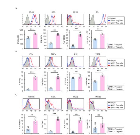 Nk1 1 Treg Cells Have The Hybrid Phenotype Of Treg Cells And Nk Download Scientific Diagram