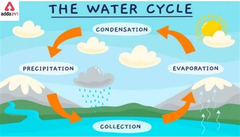 Explain Water Cycle With Diagram For Class 7 Water Cycle Dia