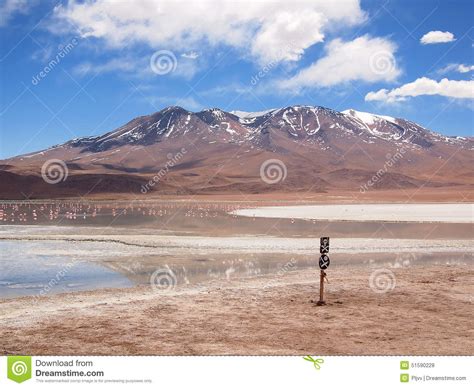 Altiplano landscape stock photo. Image of south, desert - 51590228