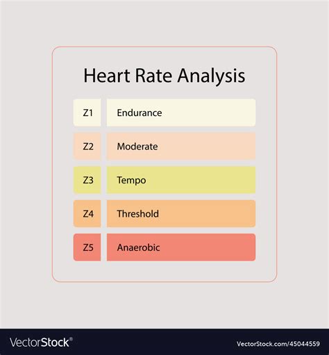 Heart rate zones pulse intensity educational Vector Image