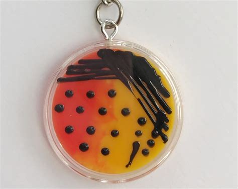 Bacteria Keychain Bacillus Bacterium Microbiology Microbe Keychain