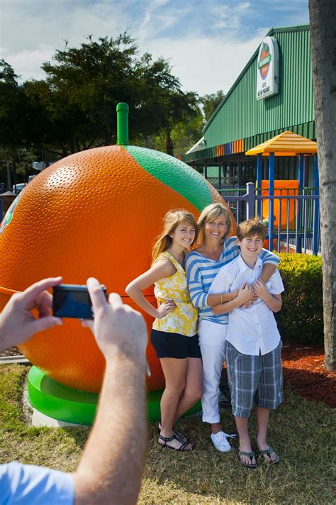 Sun Harvest Citrus A must stop to sample the "Best of Florida"! www.sunharvestcitrus.com | All ...